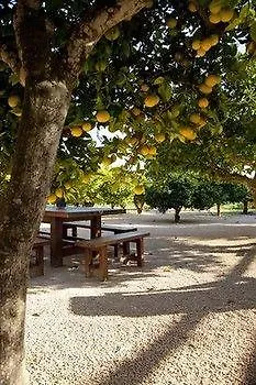 Arabi 酒店 Puig D'en Valls